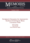 Image for Neckpinch dynamics for asymmetric surfaces evolving by mean curvature flow