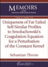 Image for Uniqueness of Fat-Tailed Self-Similar Profiles to Smoluchowski&#39;s Coagulation Equation for a Perturbation of the Constant Kernel