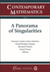 Image for A Panorama of Singularities