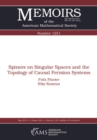 Image for Spinors on Singular Spaces and the Topology of Causal Fermion Systems