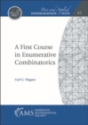 Image for A First Course in Enumerative Combinatorics