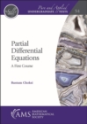 Image for Partial differential equations  : a first course