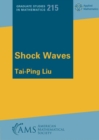 Image for Shock waves