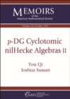 Image for $p$-DG Cyclotomic nilHecke Algebras II