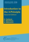 Image for Introduction to the H-Principle : volume 239
