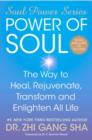 Image for The power of soul