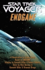 Image for End Game: Star Trek Voyager