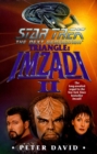 Image for Triangle: Imzadi II: Star Trek The Next Generation