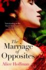 Image for The marriage of opposites