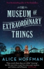 Image for The Museum of Extraordinary Things