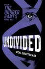 Image for Undivided