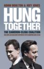 Image for Hung together: the 2010 election and the coalition government