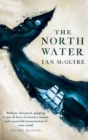 Image for The north water