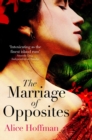 Image for The Marriage of Opposites