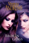 Image for Broken glass