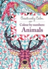 Image for Creatively Calm: Colour by numbers: Animals