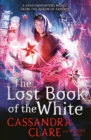 Image for The lost book of the white