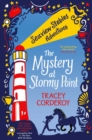 Image for The mystery at Stormy Point : 2