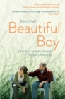 Image for Beautiful boy: a father&#39;s journey through his son&#39;s meth addiction
