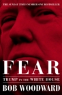 Image for Fear