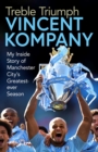 Image for Treble triumph: my inside story of Manchester City&#39;s greatest-ever season