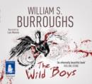 Image for The Wild Boys