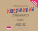 Image for Americanah