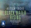 Image for Black Water Rising
