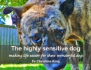 Image for highly sensitive dog: making life easier for these wonderful dogs