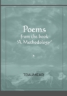 Image for Poems from the book : &#39;a Methodology&#39;