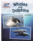 Whales and dolphins - Webb, Sarah