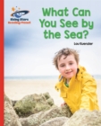 Reading Planet - What Can You See by the Sea? - Red B: Galaxy - Kuenzler, Lou