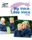 Image for Big voice, little voice
