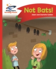 Image for No bats!