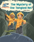 Image for The mystery of the tangled net