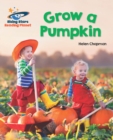 Image for Grow a pumpkin