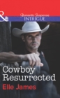 Image for Cowboy resurrected
