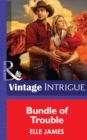 Image for Bundle of Trouble