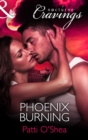 Image for Phoenix Burning
