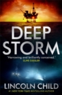 Image for Deep storm  : a novel