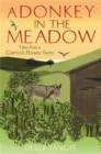 Image for A donkey in the meadow