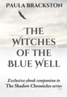 Image for The witches of the Blue Well: thoughts on writing The winter witch