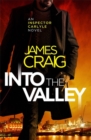 Image for Into the Valley