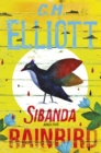 Image for Sibanda and the rainbird