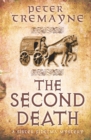 Image for The second death