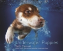 Image for Underwater Puppies
