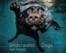 Image for Underwater Dogs