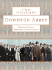 Image for A Year in the Life of Downton Abbey (companion to series 5)