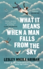 Image for What It Means When A Man Falls From The Sky