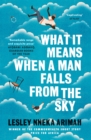 Image for What it means when a man falls from the sky